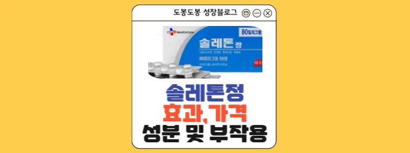 솔레톤정 안내 이미지