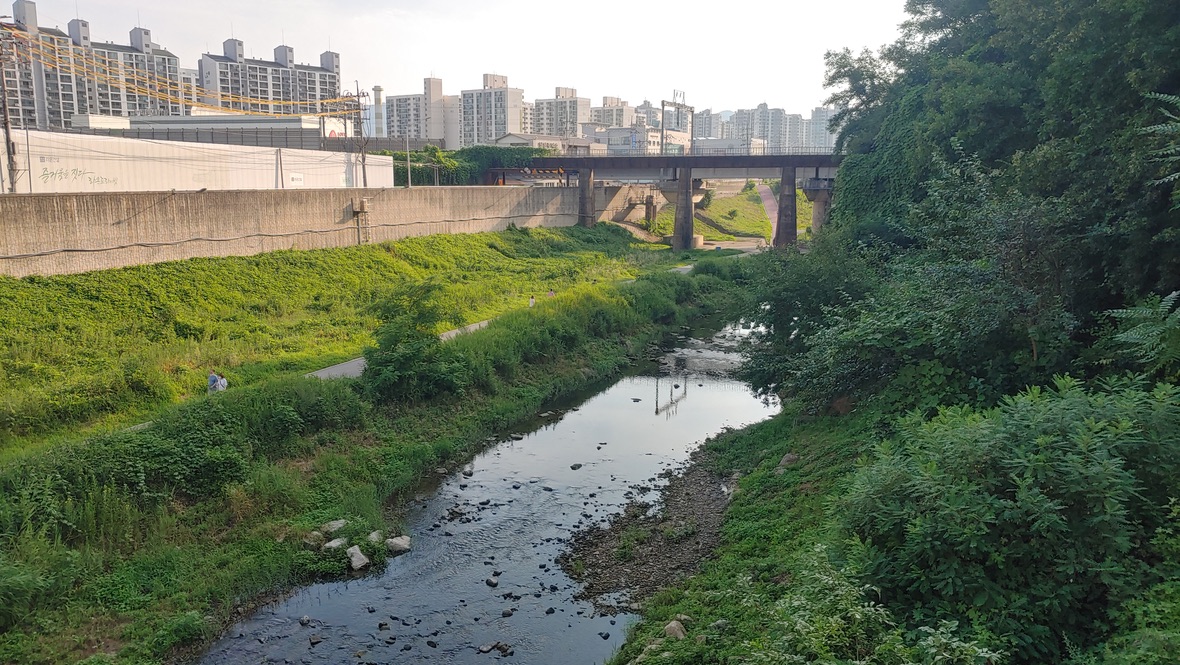 물이 그리 깨끗하지 않은 월문천