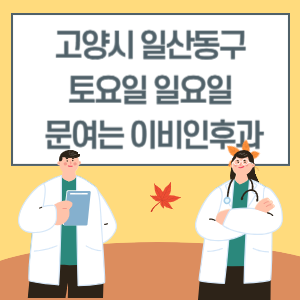 고양시 일산동구 토요일 일요일 이비인후과 진료 문여는 병원 리스트