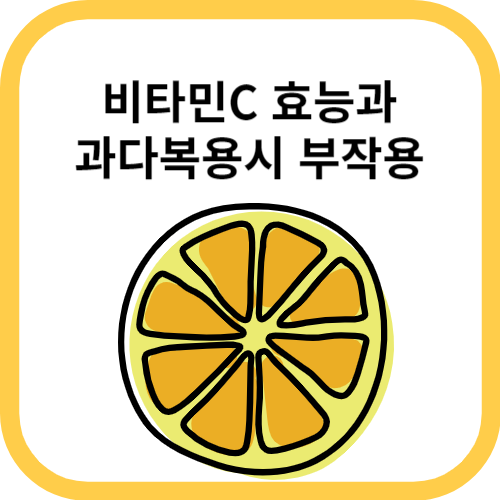 오렌지 단면그림