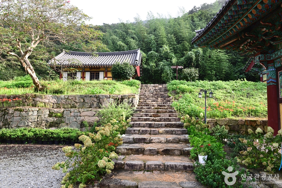 함평 가볼만한곳 베스트10