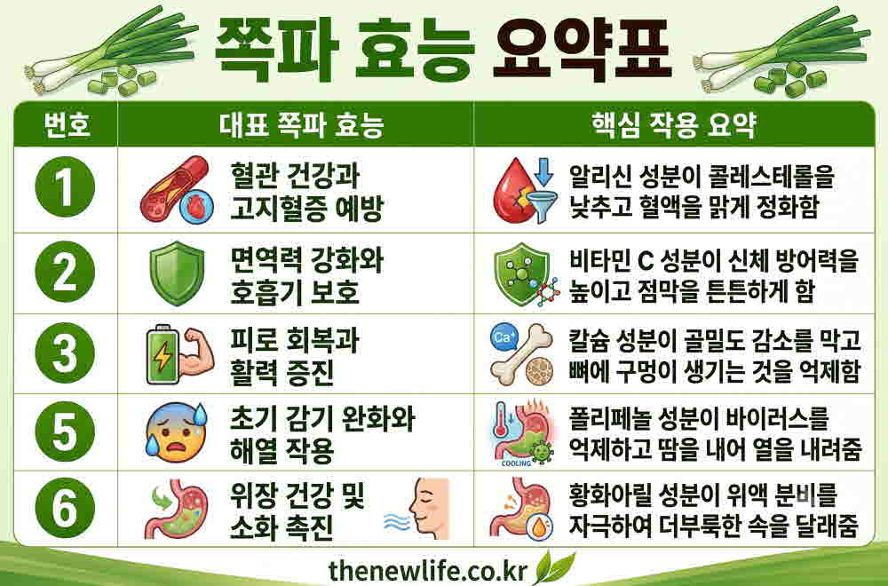 쪽파 효능 요약표