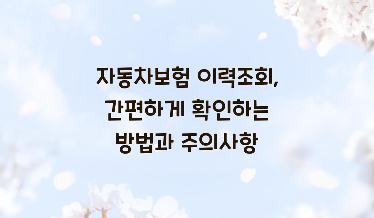 자동차보험 이력조회