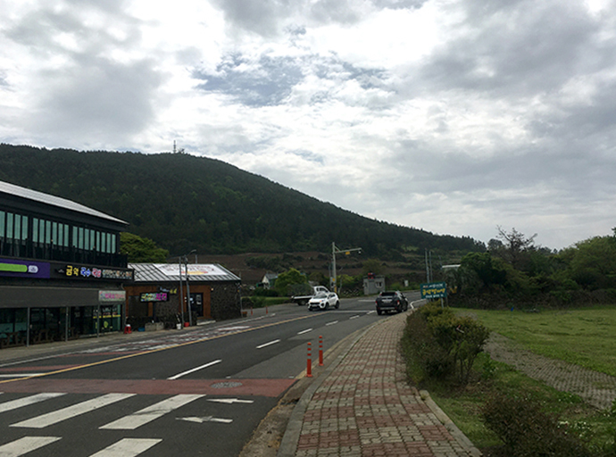 금오름-가는길1