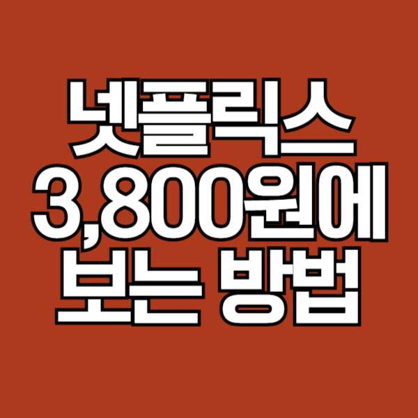 넷플릭스 저렴하게 보는 방법