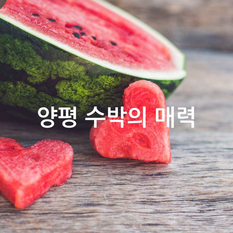 2025 여름 양평 수박축제 : 서울 근교 여행&amp;#44; 축제