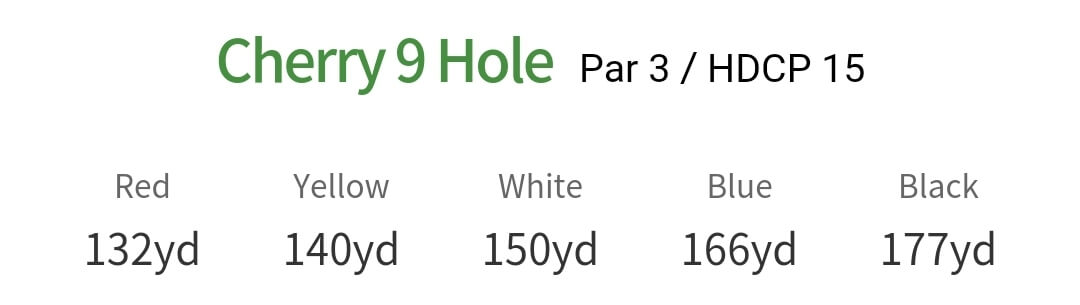 솔모로 컨트리클럽 체리코스 9