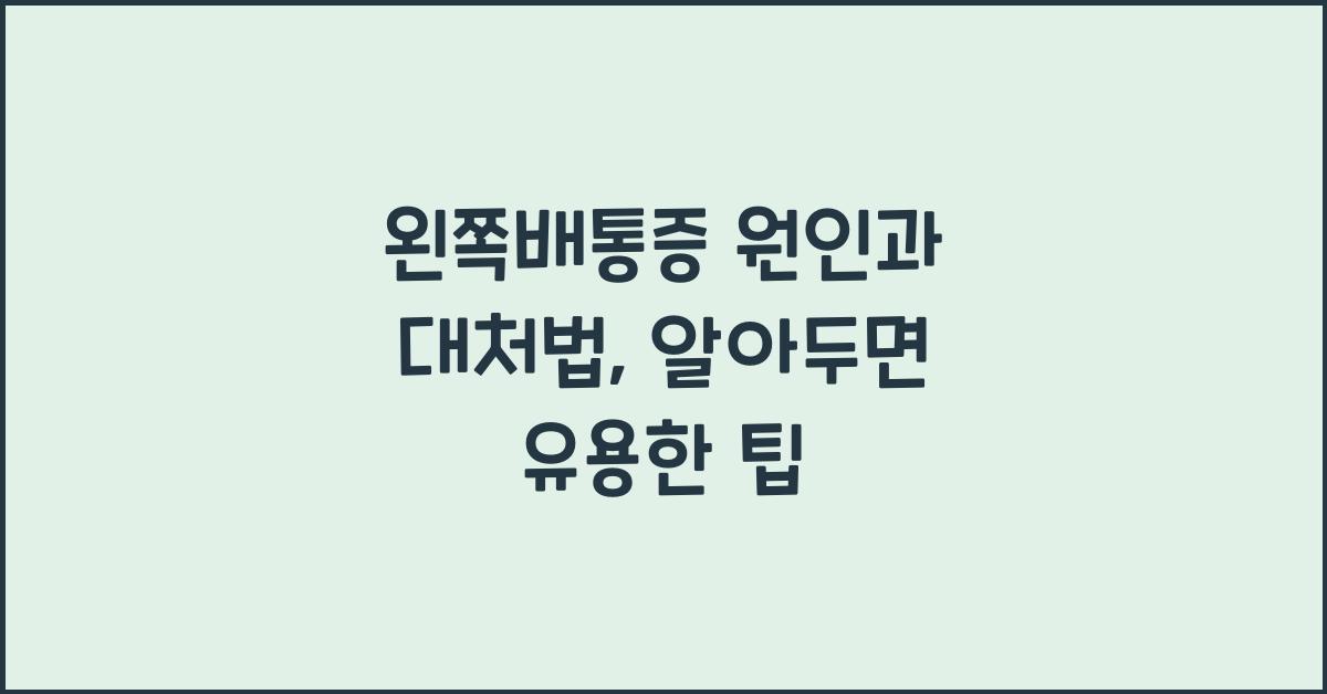 왼쪽배통증