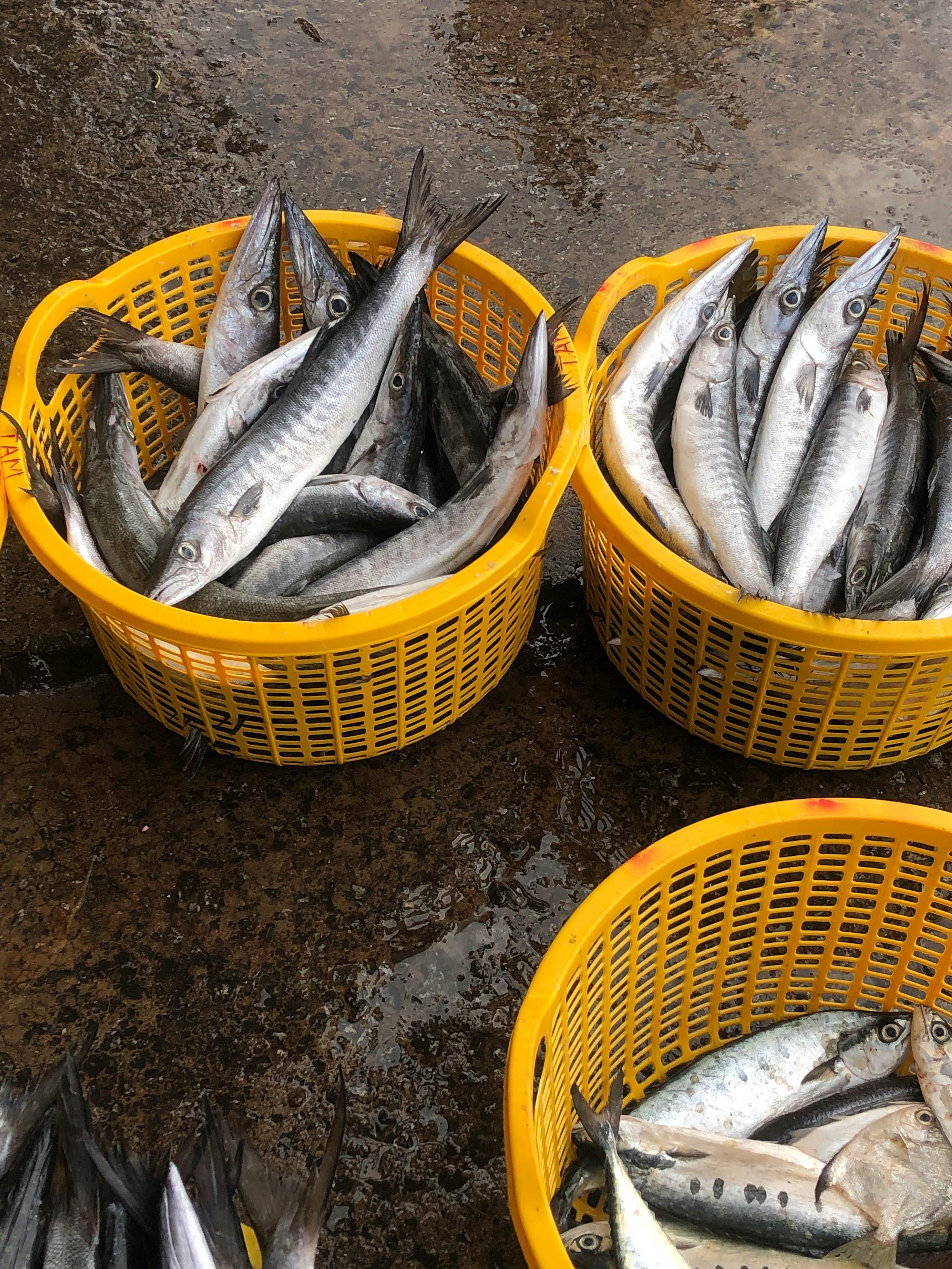 푸꾸옥 이미지들