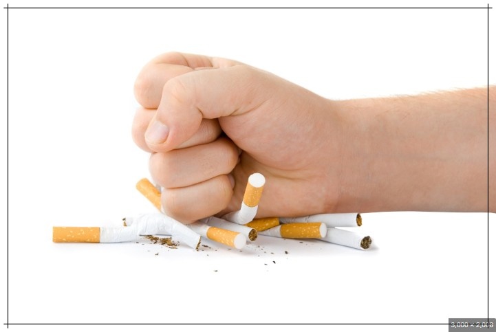 금연초 금연껌 금연보조제 파는곳