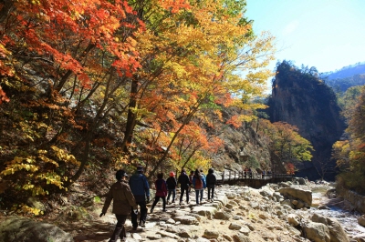 설악산-케이블카-사전-예약-불가!-현장-구매-방법&amp;#44;-요금&amp;#44;-운영시간