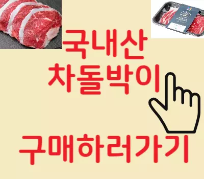 국내산차돌박이