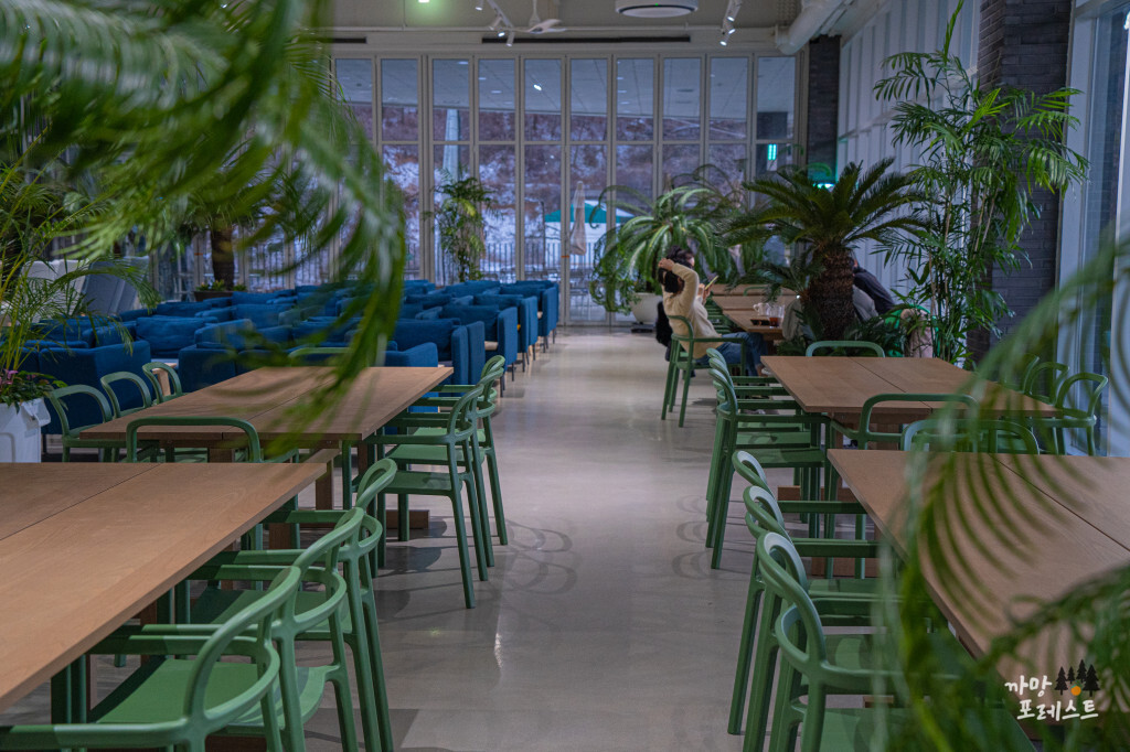 파주 문지리 535 카페 분위기