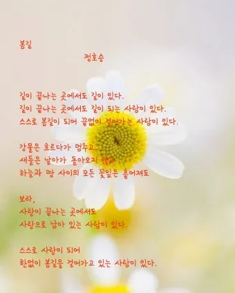 정호승 봄길 명시 10선_14