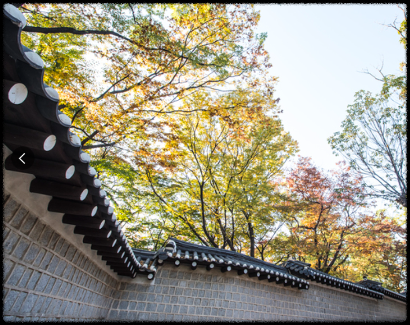 덕수궁 돌담길