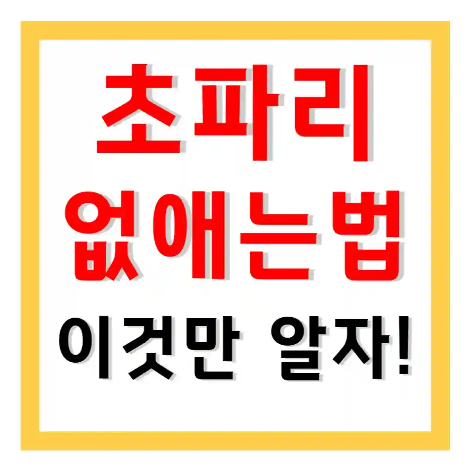 초파리 없애는 방법