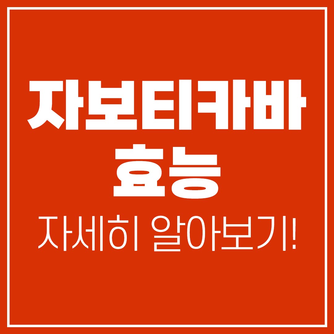 자보티카바퓨레 효능