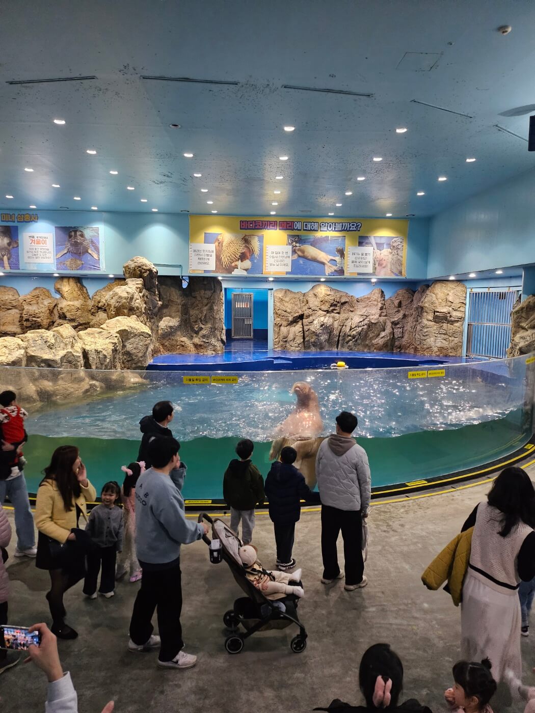 아쿠아플라넷-일산-관람하기