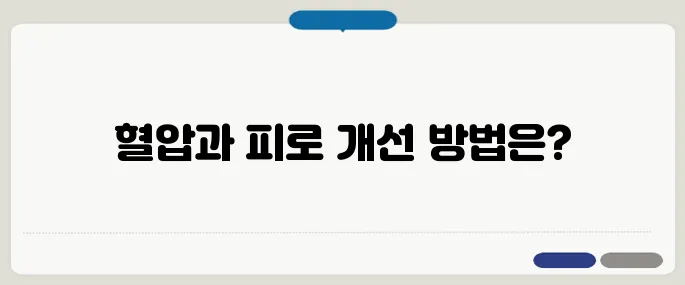 저혈압에 좋은 음식 소개 피로 개선과 혈류 개선 동시에