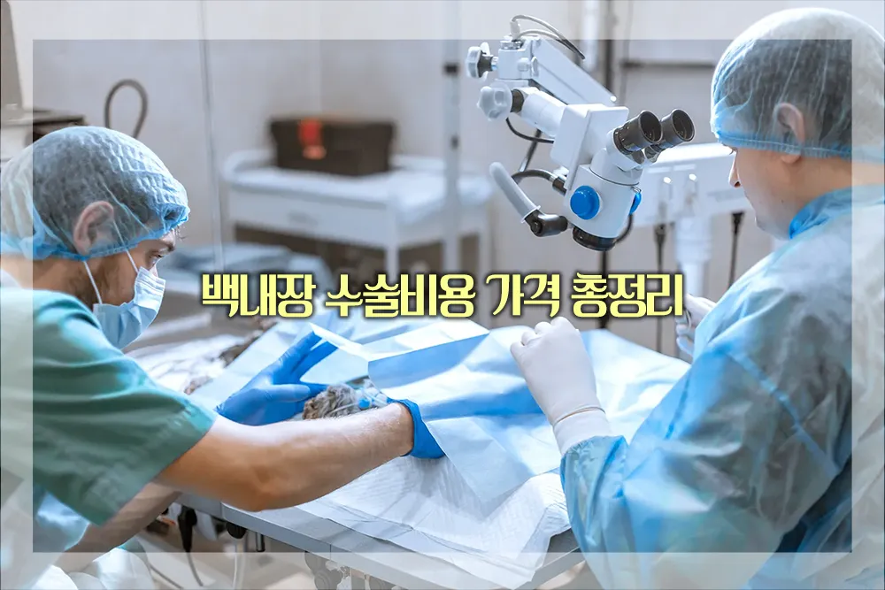 백내장 수술비용 가격