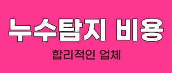누수 포인트 탐지