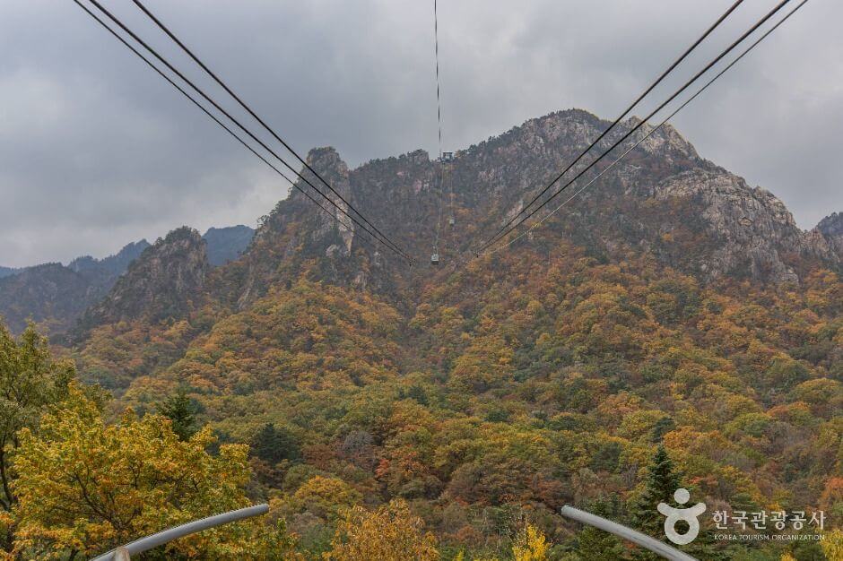 설악산 케이블카 운행시간, 예약, 요금 총정리