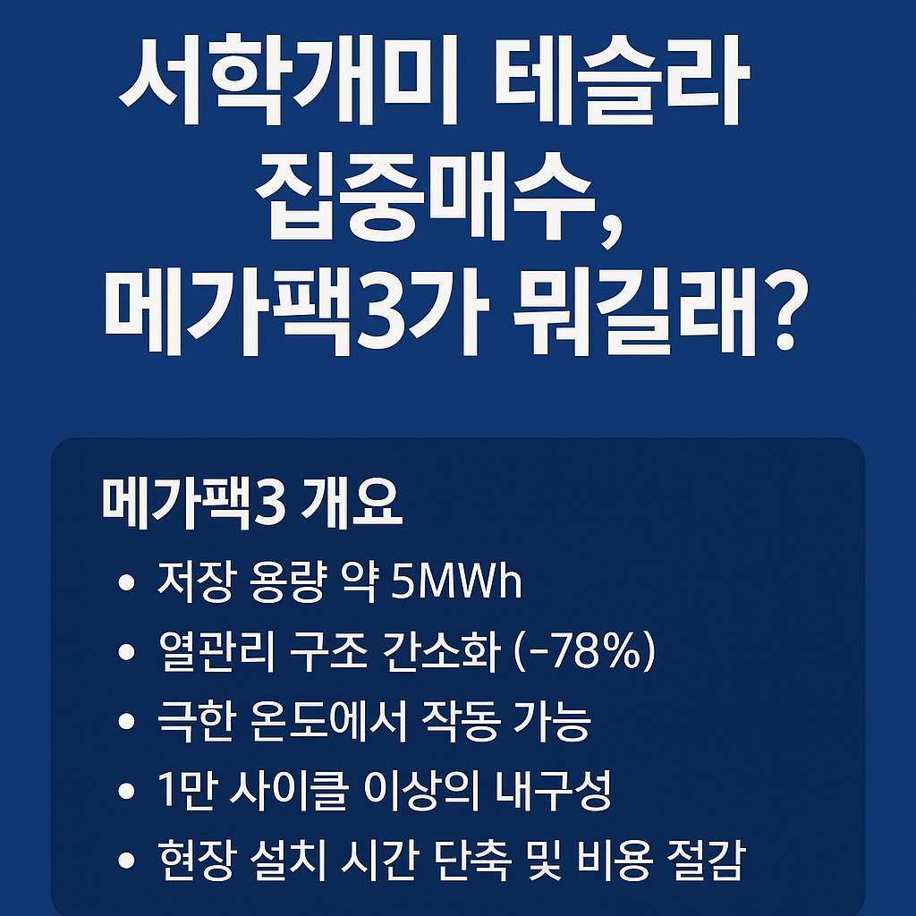 서학개미의 테슬라 집중매수와 메가팩3 핵심 요약 인포그래픽