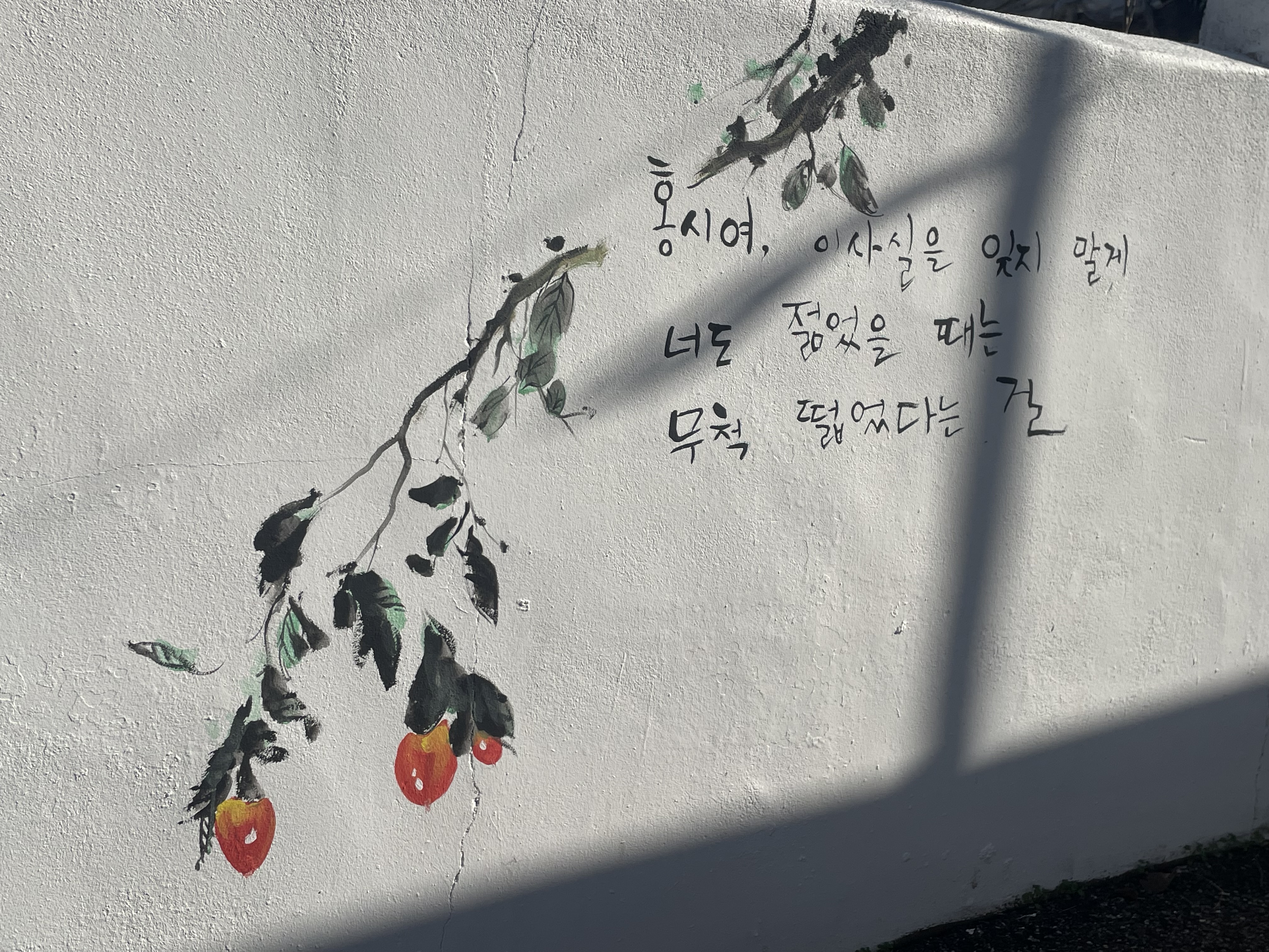 담벼락