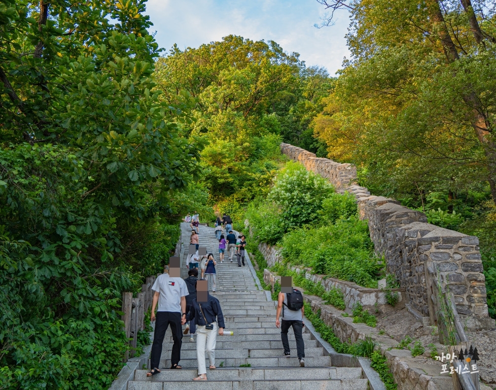 남산타워 올라가는 길