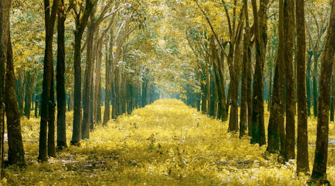 토지거래허가구역, 규제가 아니라 기회다