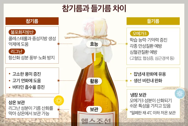 참기름 들기름 차이(출처 헬스조선)