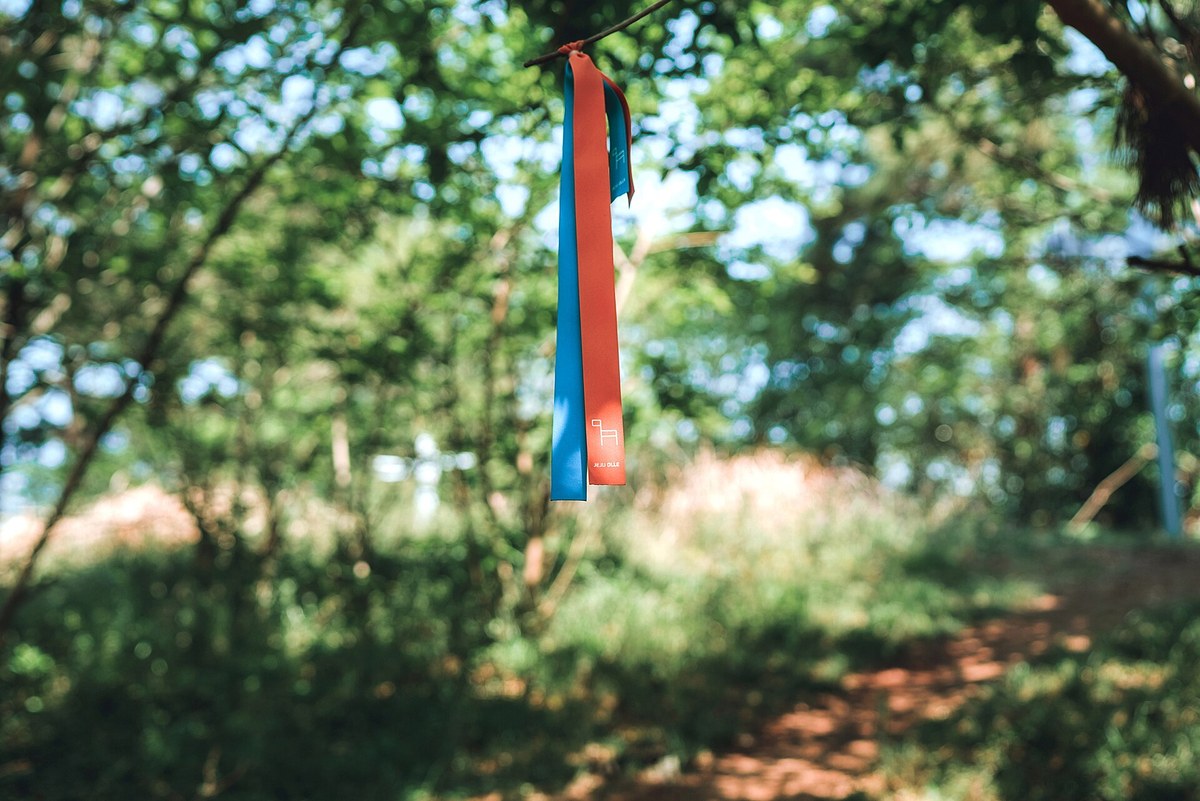 Blue and orange Jeju Olle ribbon hanging from a branch above a forest trail