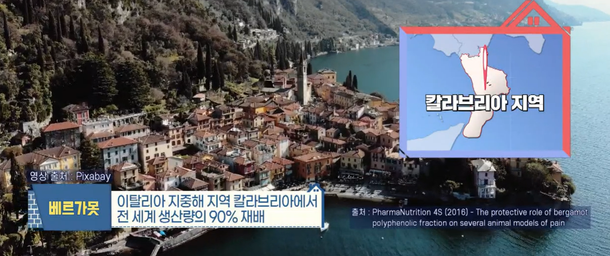 베르가못