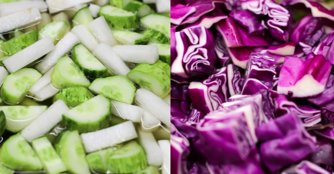 전남 강진의 여주 피클 라라잇 푸드