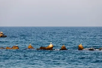 포항 파고 예측 구룡포 항구 산책 사진 촬영 포인트_22