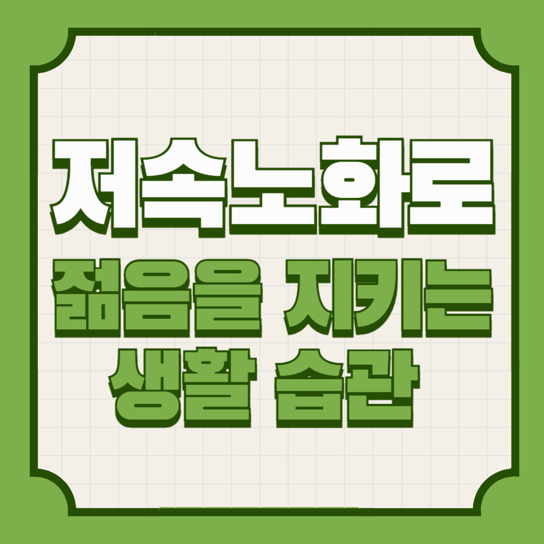 노화 늦추는 법|저속노화로 젊음을 지키는 생활 습관