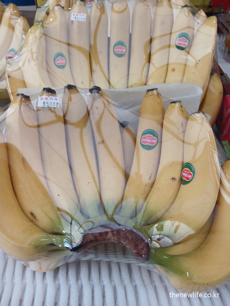 Bananas in plastic wrap/열사병 예방 음식-칼륨 보충에 좋은 바나나/열사병과 일사병의 차이 설명 이미지