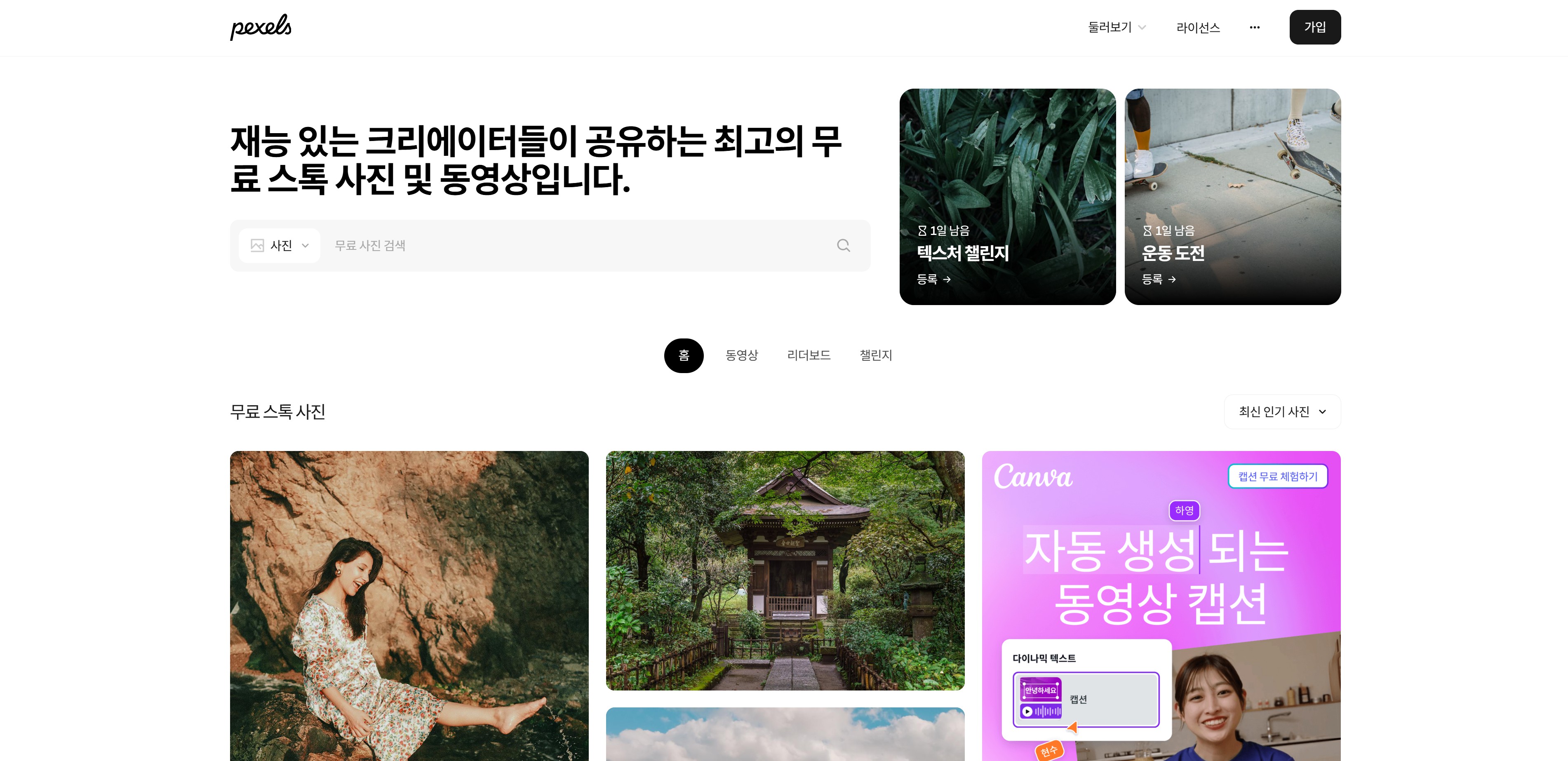 무료 이미지 사이트 TOP 10 2. Pexels - 다양한 카테고리의 프리미엄 사진