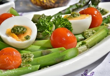 무궁화 다이어트 효과 있는 복용법|변화가 느껴지는 섭취 방법