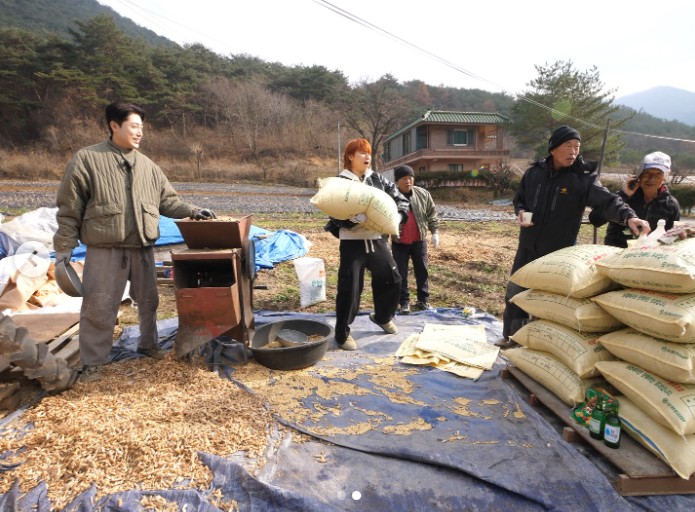 대성이 수확을 돕는 모습