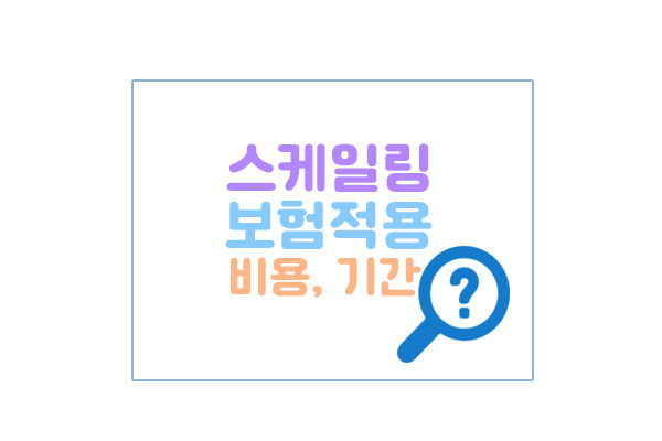 스케일링보험대표이미지