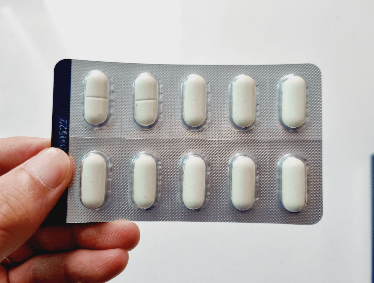 콘드로이친 뉴트리코어