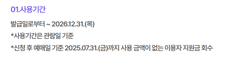 청년문화예술패스 사용 기간