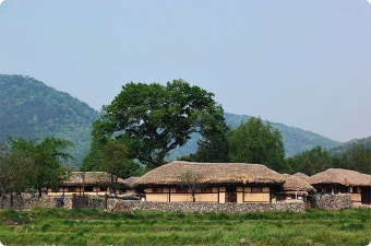 6시 내고향 방영 맛집 아산 한우 경동식당&amp;#44; 현지인이 진짜로 가는 이유