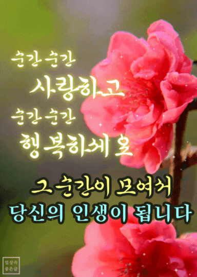 "일상속 좋은글 감성 명언 이미지 - 순간 순간 사랑하고 행복하세요. 그 순간이 모여 당신의 인생이 됩니다."
