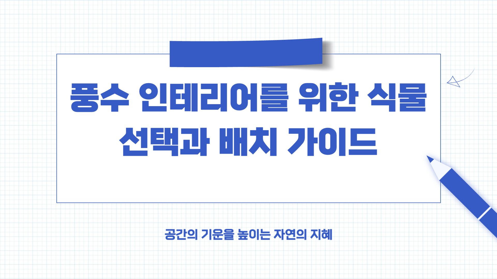 풍수 인테리어 좋은 식물