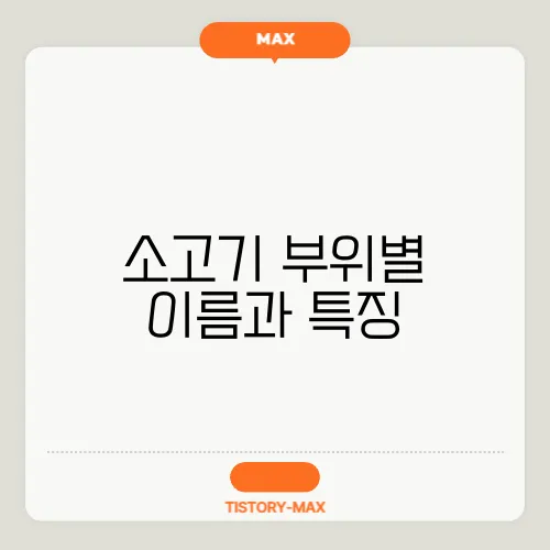 소고기 부위별 이름과 특징