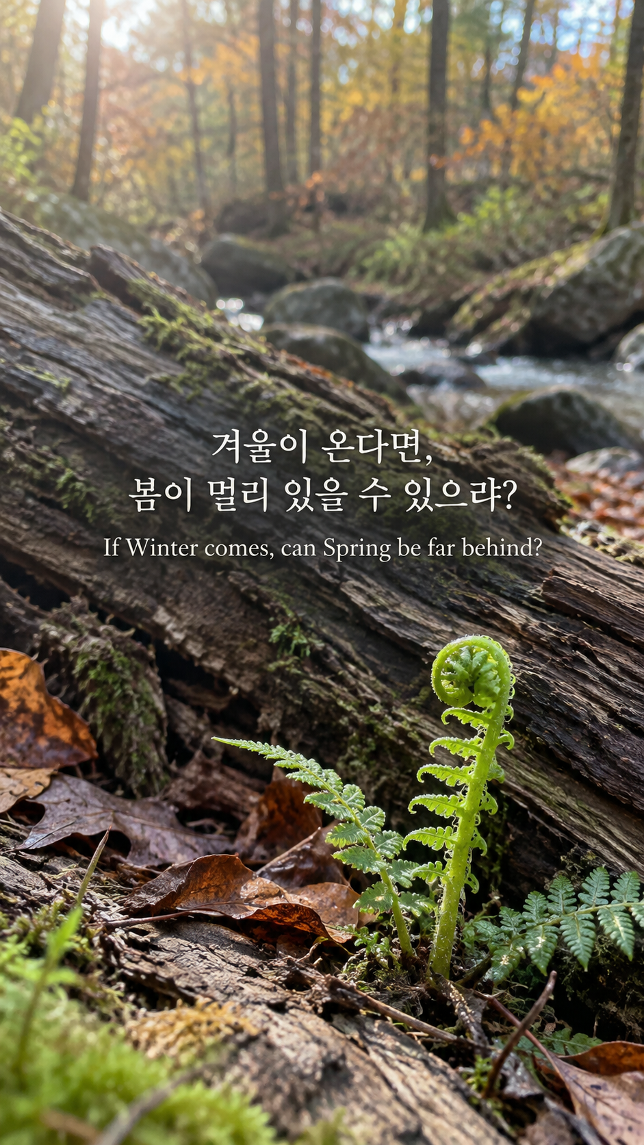 퍼시 비시 셸리의 다음 계절의 희망에 관한 가을 글귀 &mdash; 한글과 영어 원문을 담은 디지털 카메라 사진