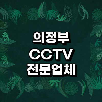 의정부시 cctv