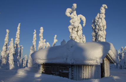 핀란드의 아내 업기 대회
